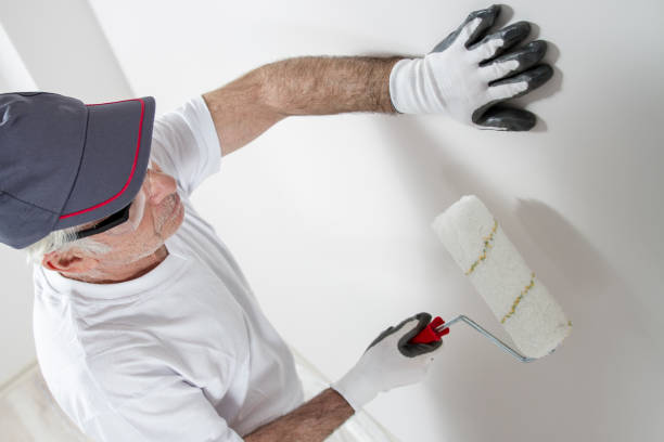 Best Crawl Space Mold Remediation  in Butte, MT