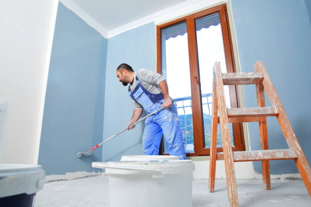 Best Mold Documentation for Insurance Claims  in Butte, MT
