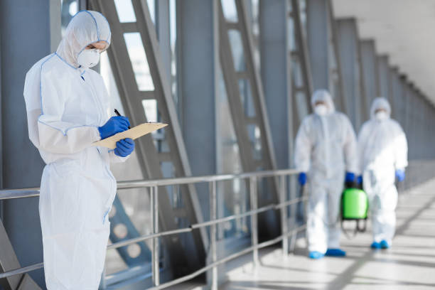 Best Post-Construction Mold Inspection  in Butte, MT