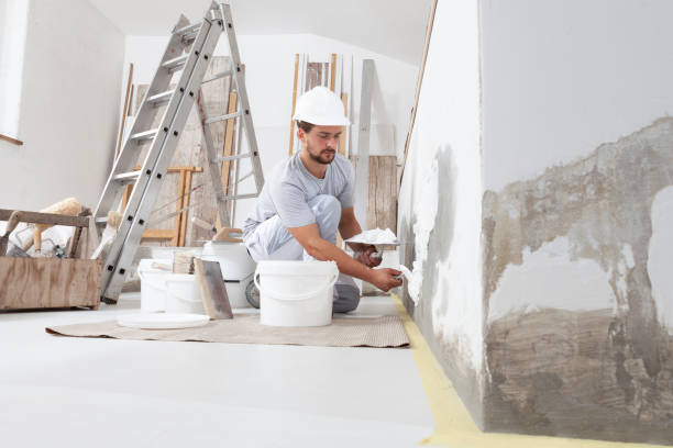 Best Residential Mold Inspection & Testing  in Butte, MT