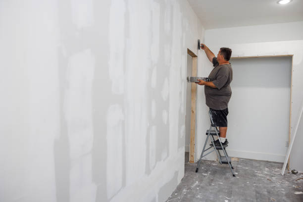 Professional Mold Removal in Butte, MT