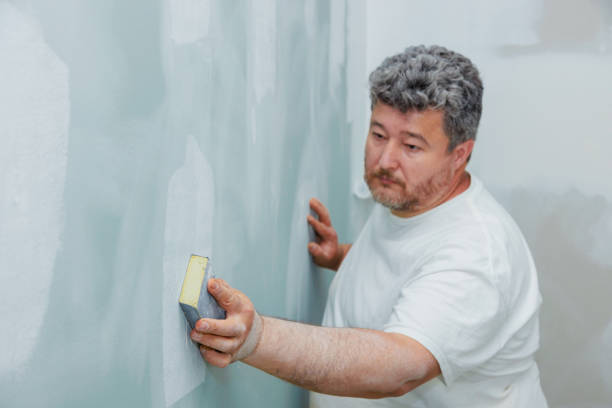 Best Black Mold Removal  in Butte, MT