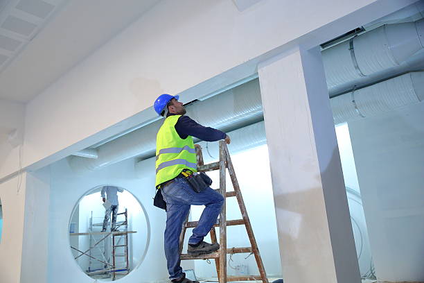 Best Mold Removal for HVAC Installations  in Butte, MT