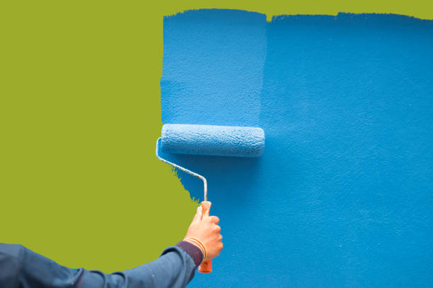 Best Environmental Consulting for Mold Prevention  in Butte, MT