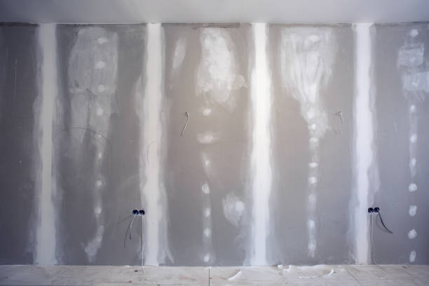 Best Dehumidification Services  in Butte, MT